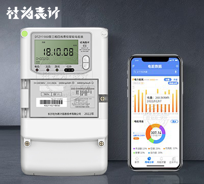 社為DTZY1980遠程智能電表